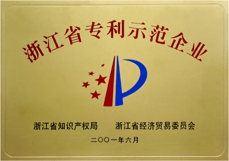 2001年6月获“浙江省专利示范企业”称号